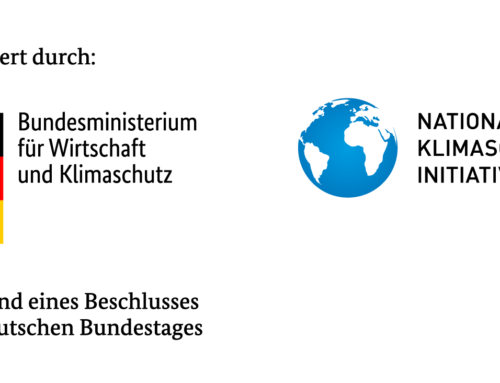 Erneuerung Flutlicht 2024